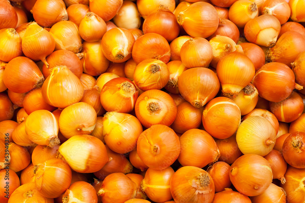 display onions at the market display onions at the market
