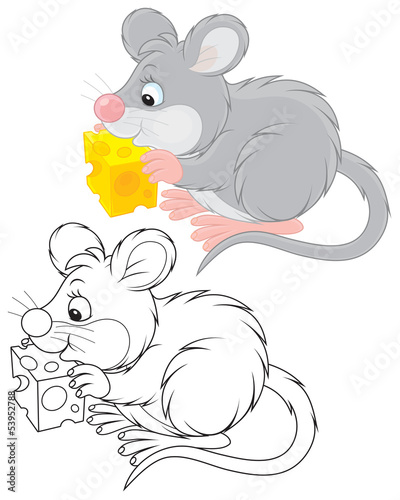 Mouse