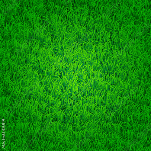 Green grass background