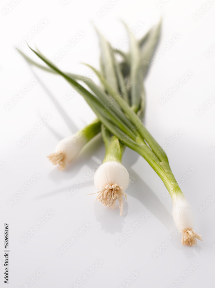 Obraz premium Fresh green leek on white background