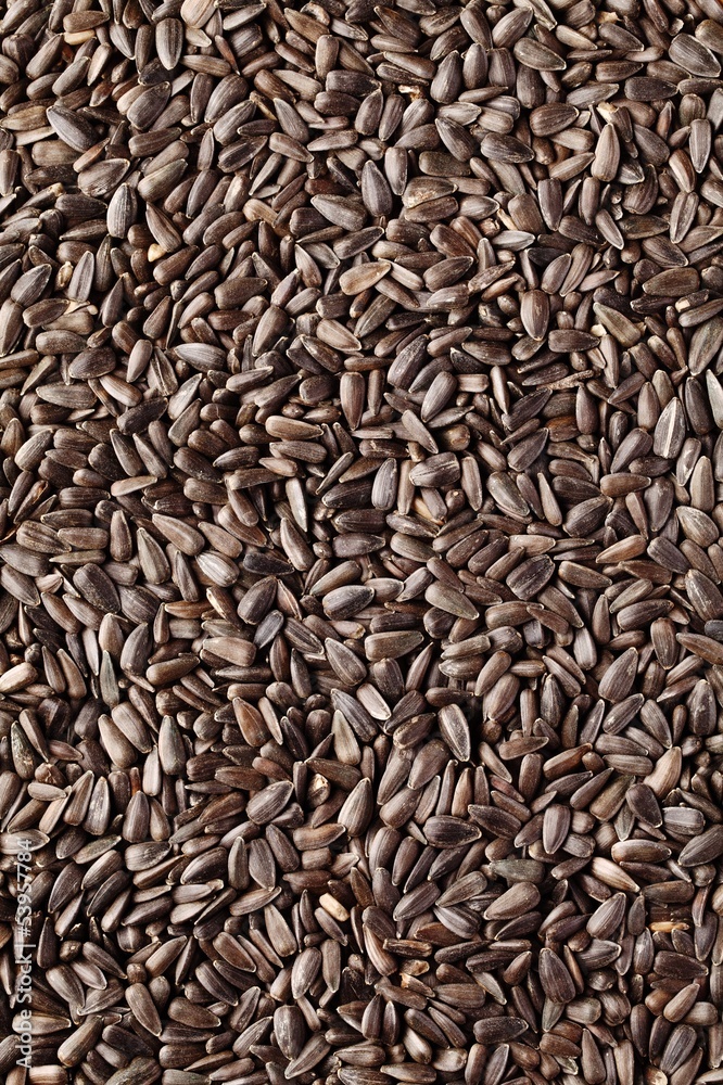 Top view on sunflower seeds. Top view on sunflower seeds.