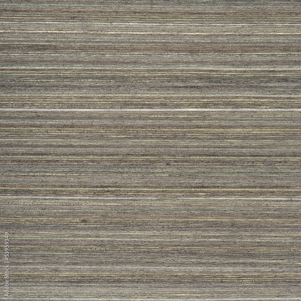 Fototapeta premium Wooden texture background