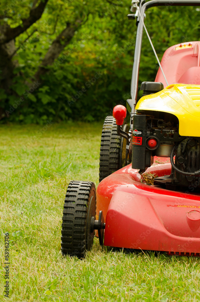 frisch gemähter Rasen StockFoto Adobe Stock