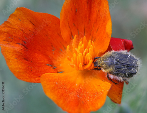 Feeding photo