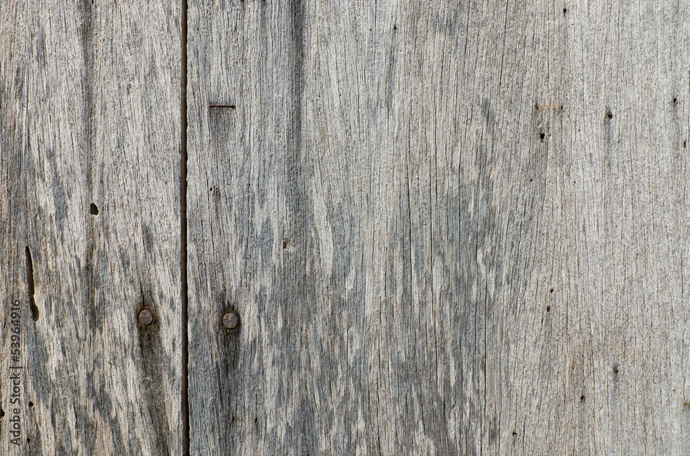 Very old rusty hardwood door for background use Very old rusty hardwood door for background use