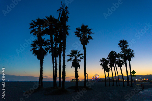 Santa Monica sunset between trees in California, USA