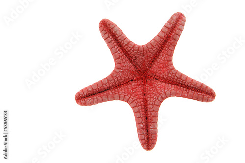 Konstfotografi Starfish backside