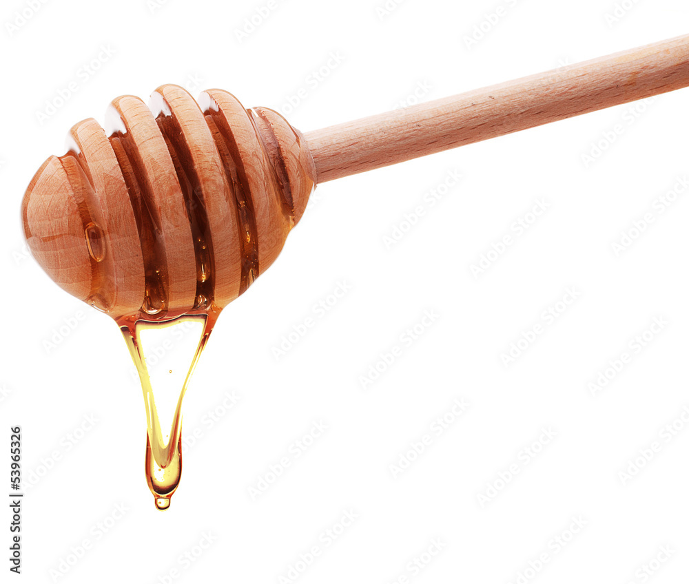 Honey dripping from a wooden honey dipper isolated on white back Honey dripping from a wooden honey dipper isolated on white back