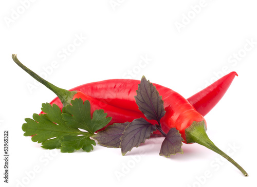 Hot red chili or chilli pepper and aromatic herbs leaves still l