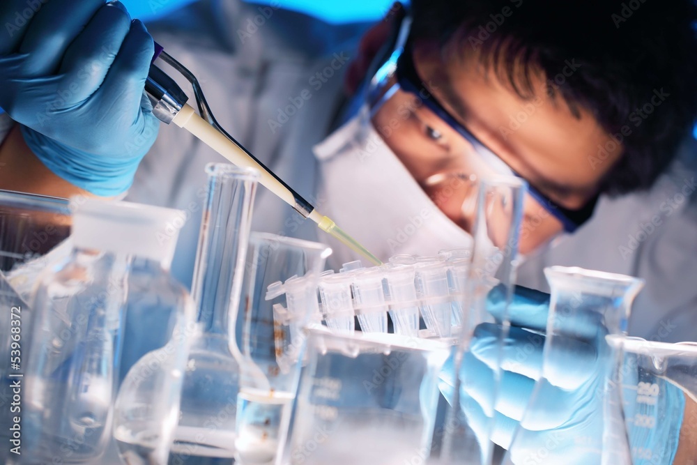 Scientist examining samples Scientist examining samples