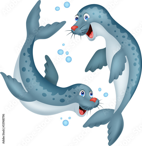 Seal cartoon