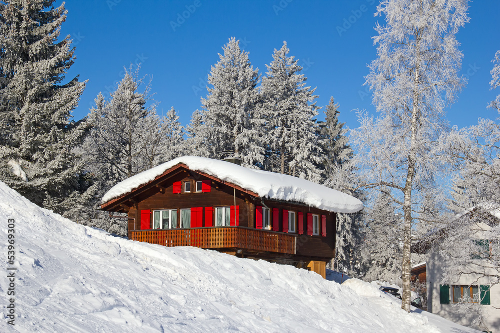 Skiing slope