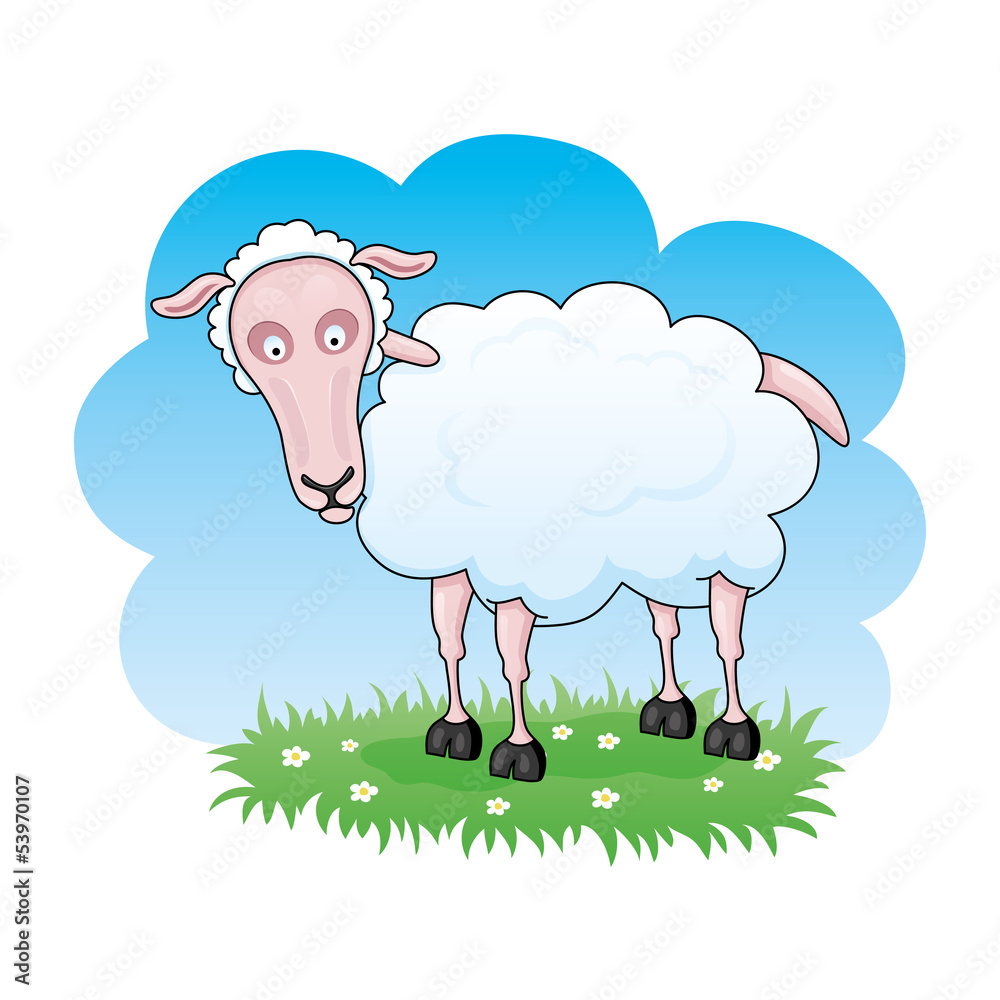 Funny sheep. Funny sheep.