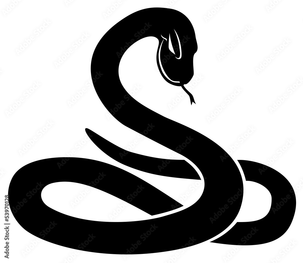 Obraz premium Czarny wąż.