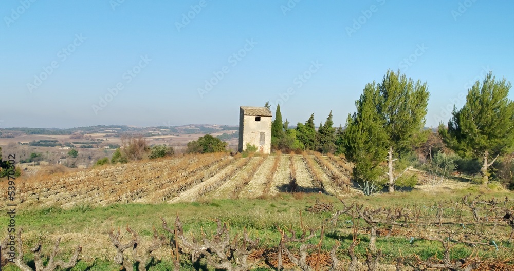 paysage provençal - buisson paysage provençal - buisson