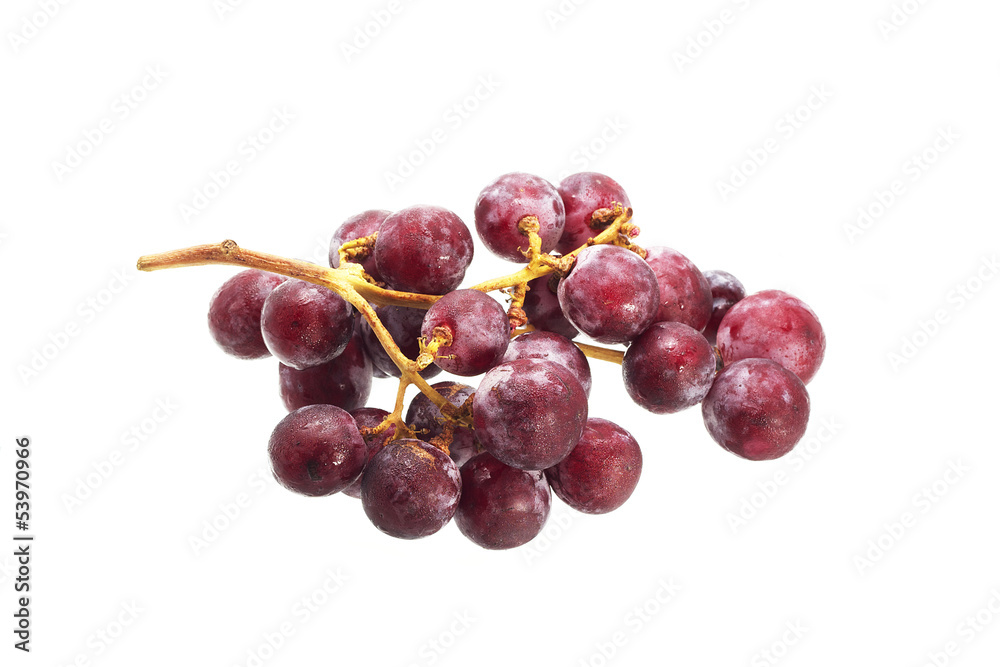 bunch of red grapes isolated on white bunch of red grapes isolated on white