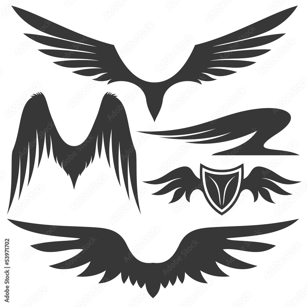 Wings.