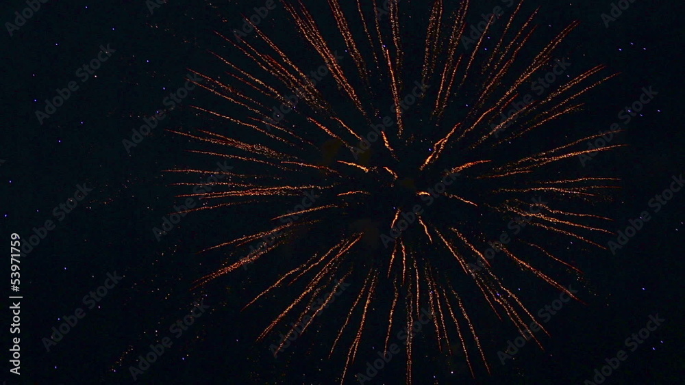 Fireworks flashing in the night sky. Fireworks flashing in the night sky.