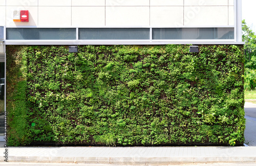 Green wall building