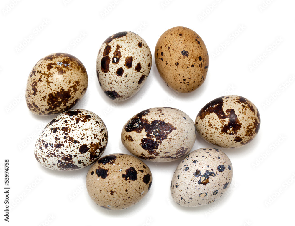 quail eggs isolated on white background