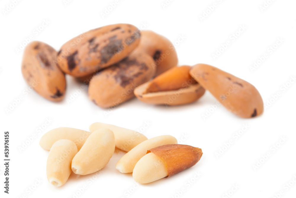 Pine nuts isolated Pine nuts isolated
