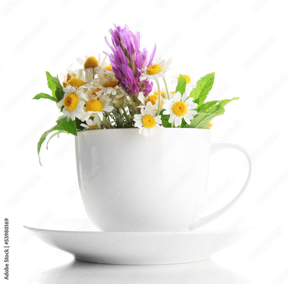 Beautiful wild flowers and mint in cup, isolated on white Beautiful wild flowers and mint in cup, isolated on white