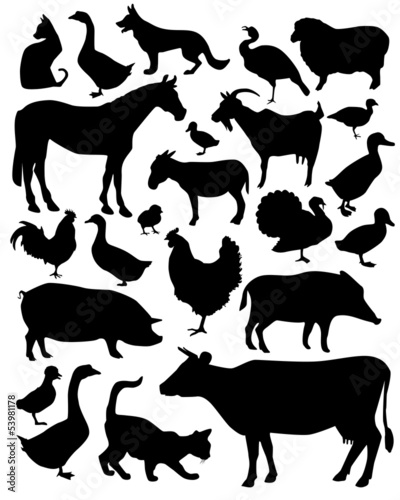 animals on the farm
