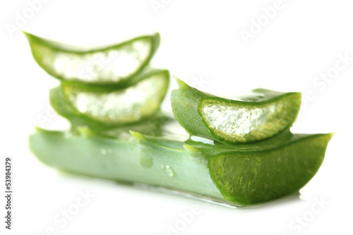 Aloe leaves, isolated on white