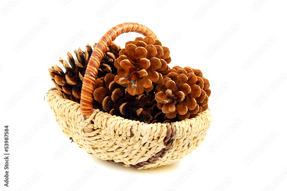 Pine cones in a basket.