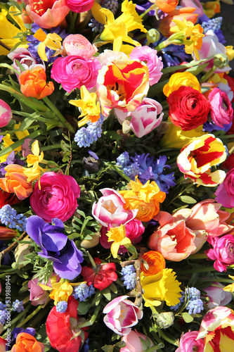 Mixed Spring Flowers