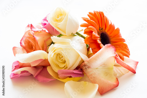 Flowers with petals of roses