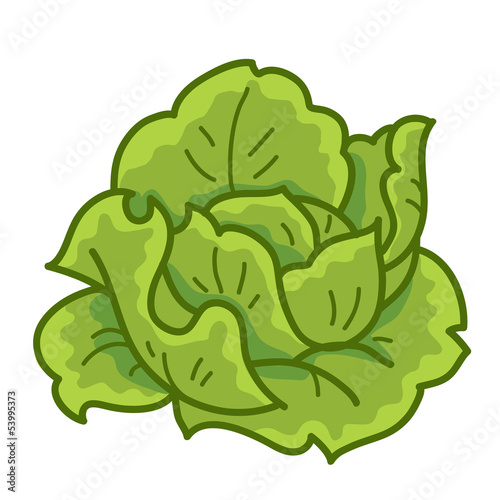 green cabbage