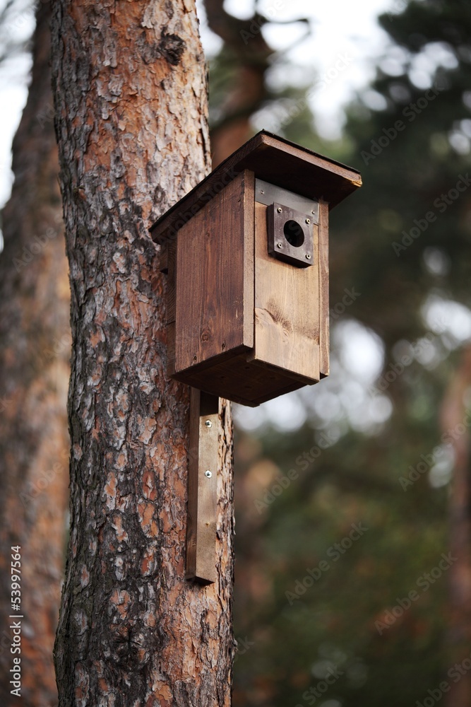 Tree with new wooden house for birds. Tree with new wooden house for birds.