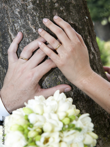 Bride and groom hands photo