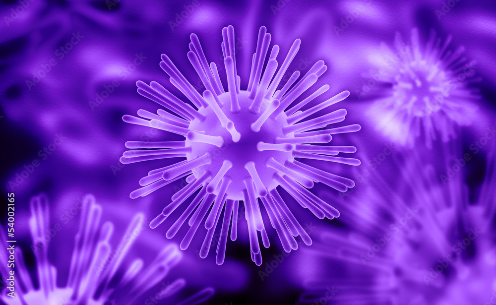 virus virus