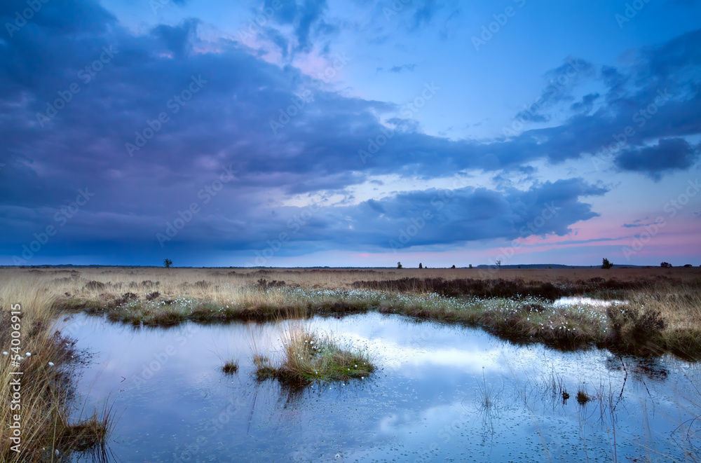soft delicate sunset over swamps