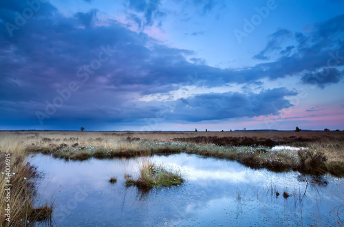 soft delicate sunset over swamps