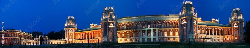 Fototapeta premium Tsaritsino Palace at night. Moscow, Russia