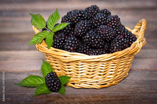 Foto Blackberries in the basket
