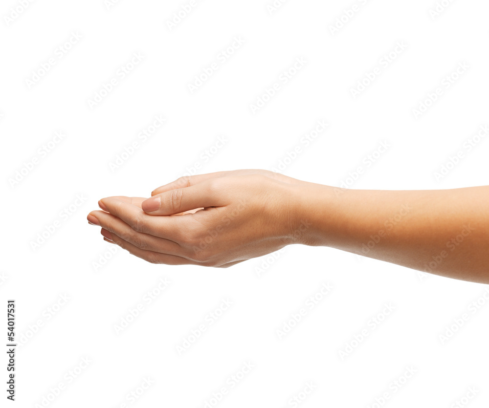 womans cupped hands