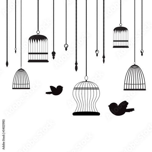 birds and birdcages background