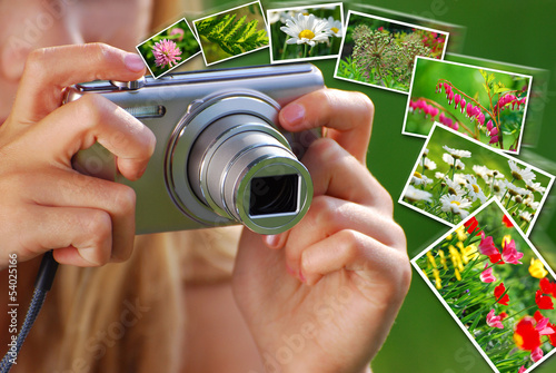 concept of taking nature photos by digital camera