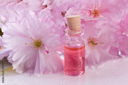 pink blossom flower and aroma essence
