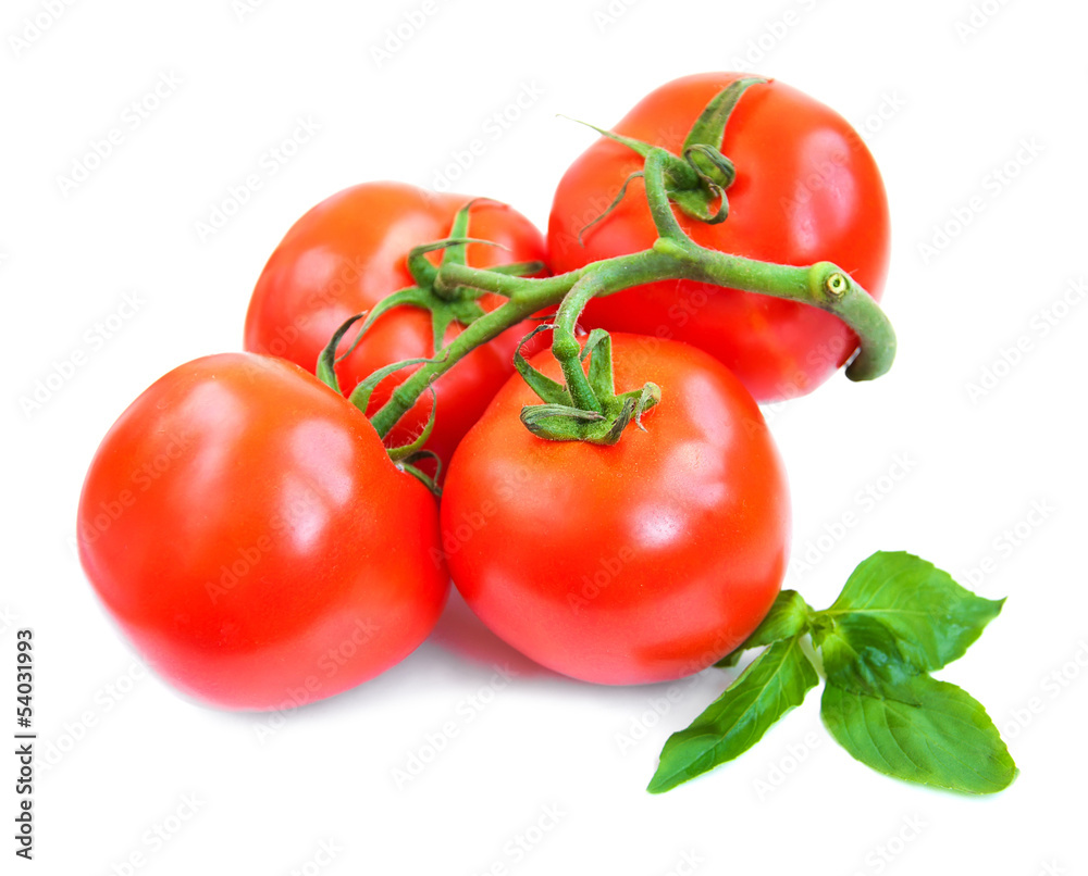 Tomatoes Tomatoes