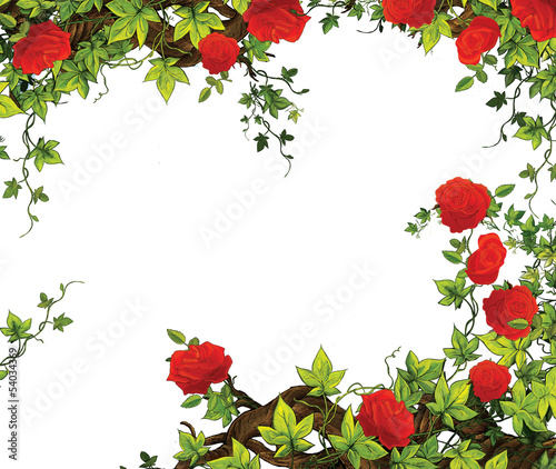 The rose frame - border - template