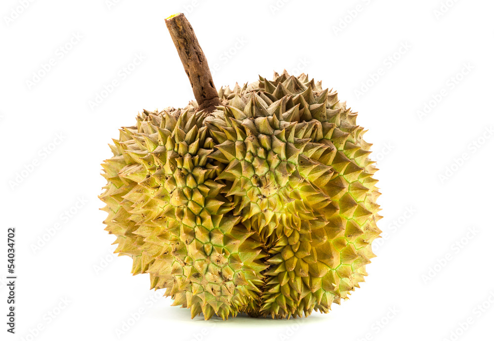 Durian from Thailand Durian from Thailand