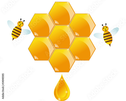 Hive with bee and honey