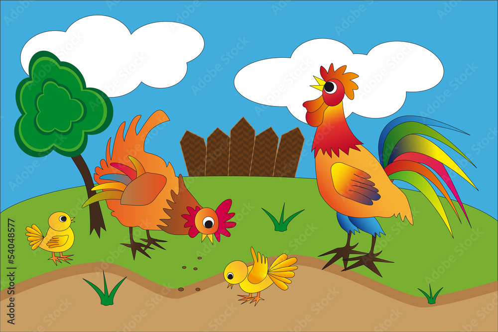Fototapeta premium Poultry