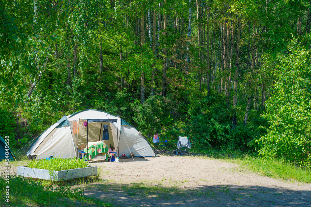 Campground in summer forest