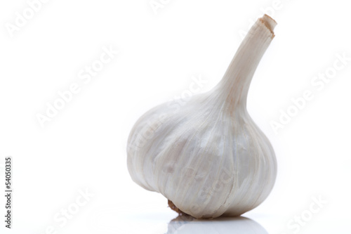 Head of garlic